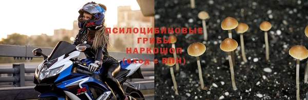 дмт Ижевск