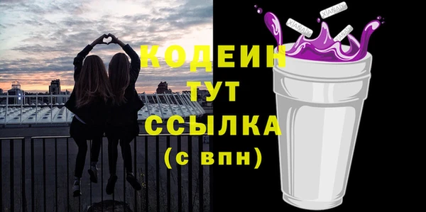 индика Вязники