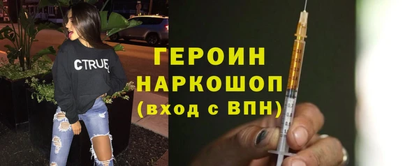 индика Новозыбков