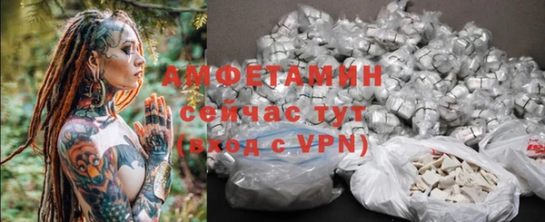индика Новозыбков