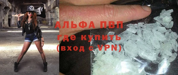 индика Вязники