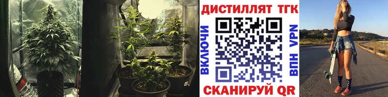 дарнет шоп  Мосальск  Дистиллят ТГК гашишное масло 
